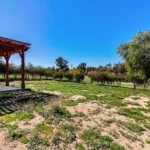 25910 Rolling Hills Rd -9